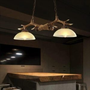 Suspension Industrielle 2 Lampes Style Vintage 5 Suspension Industrielle 2 Lampes Style Vintage